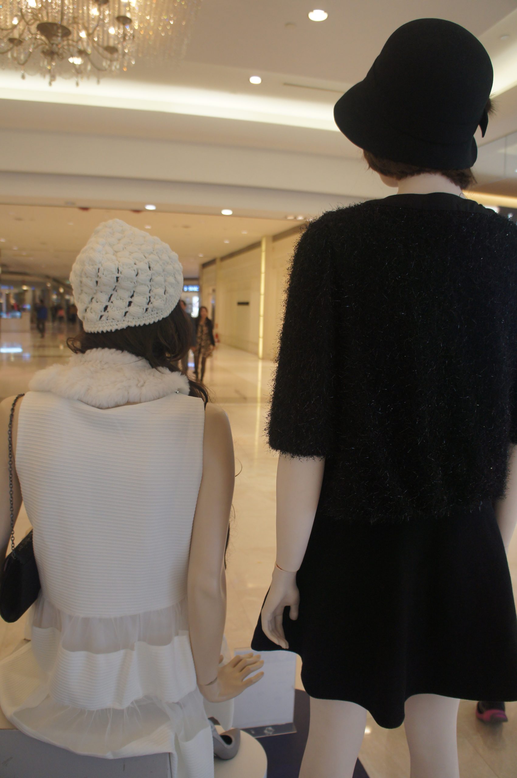 SONY DSC