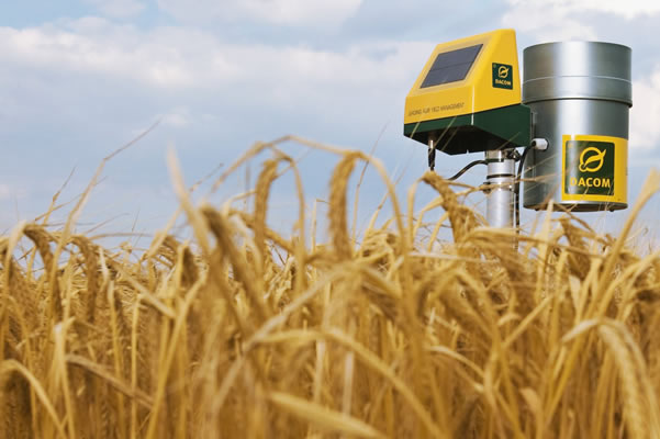 【專欄】看看荷蘭「如何」轉型正義! 荷蘭是農業大國