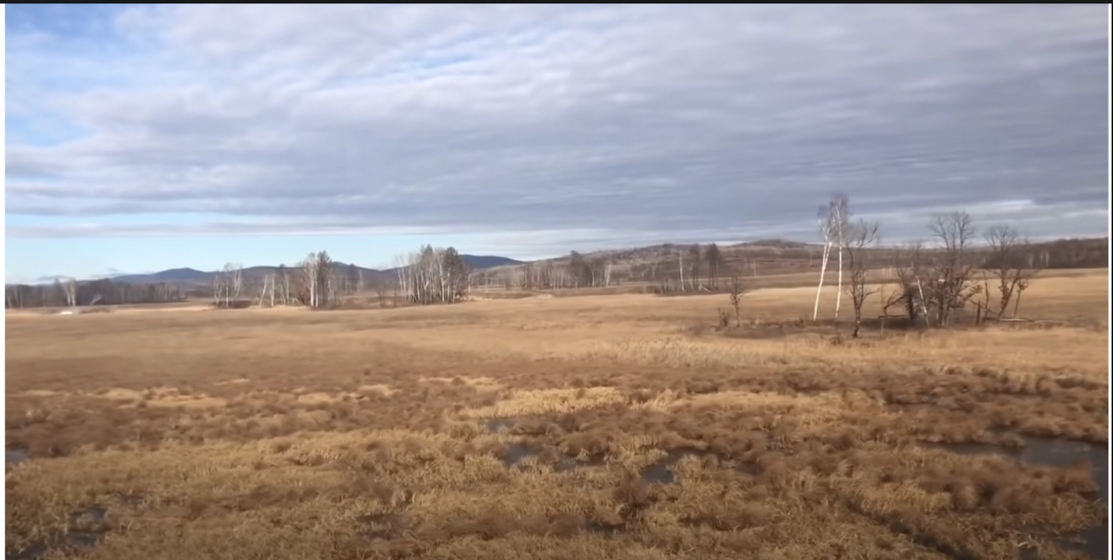 擷自you tube畫面