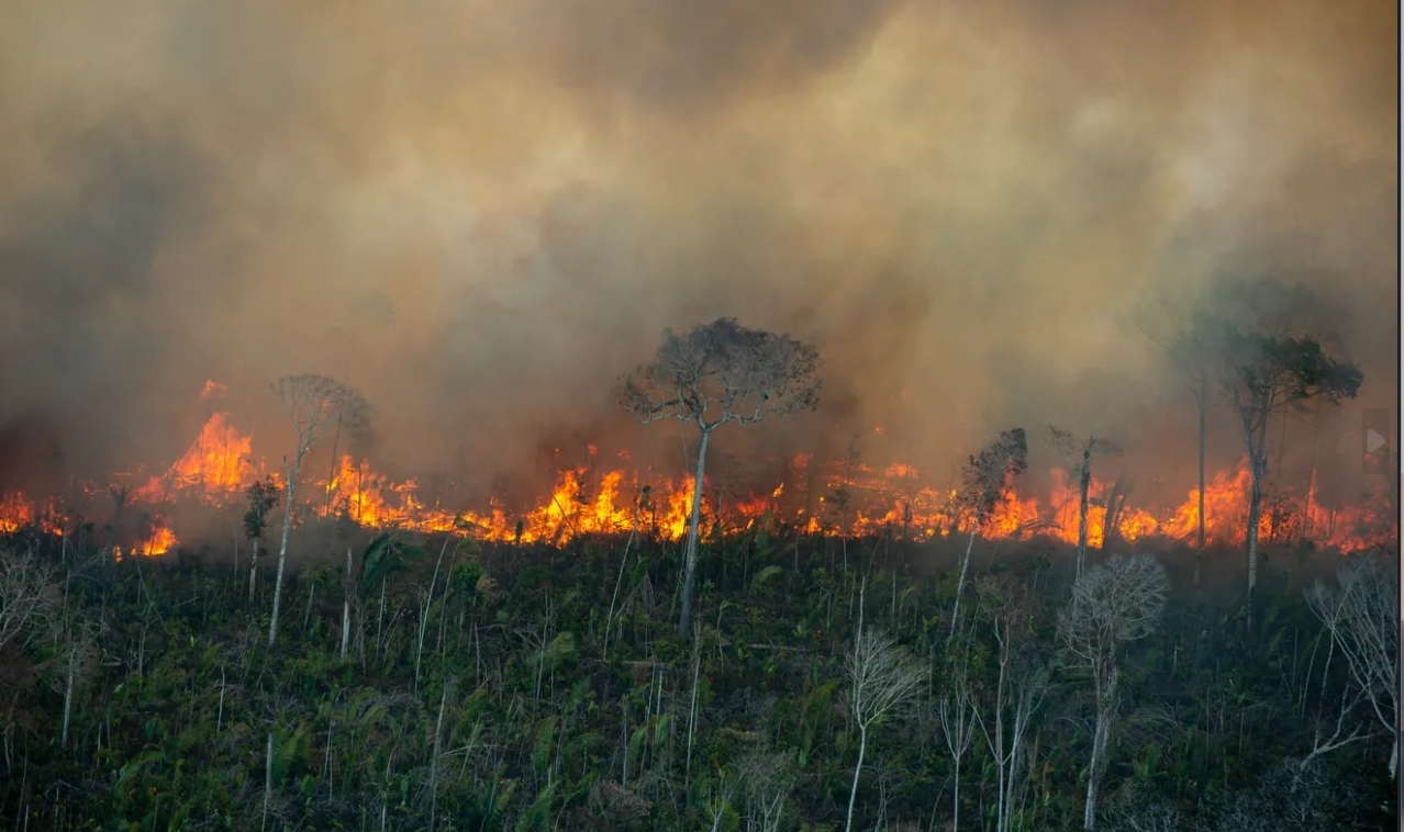 巴西亞馬遜毀林創新高，恐在40年內就會消失。圖為森林遭焚毀/Christian Braga/Greenpeace