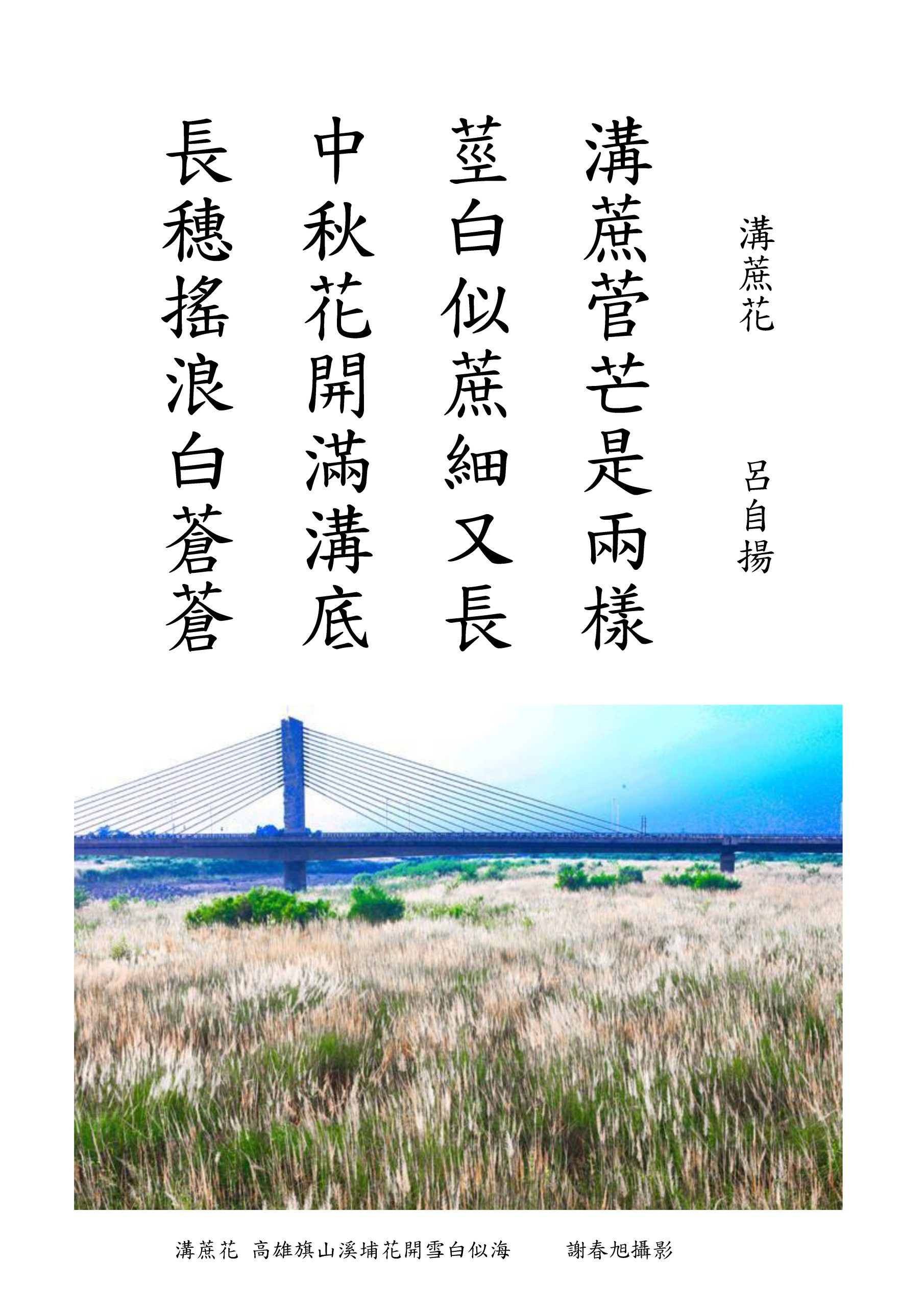 圖1月世界溝蔗花 -有橋108-4-23 – 詩圖卡 – 複製
