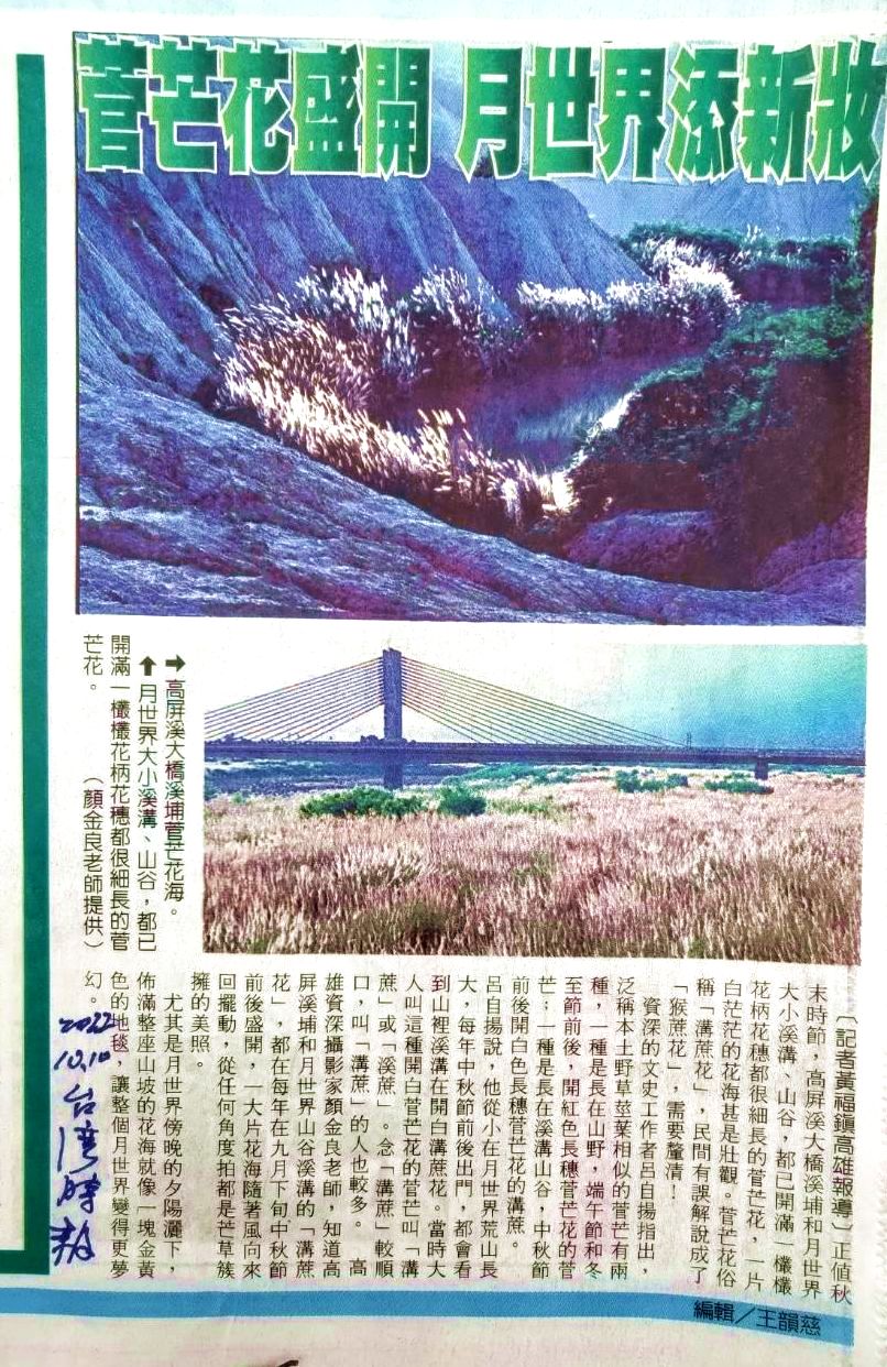 圖2.〈菅芒花盛開 月世界添新裝〉，2022.10.10台灣時報黃福鎮報導。呂自揚提供