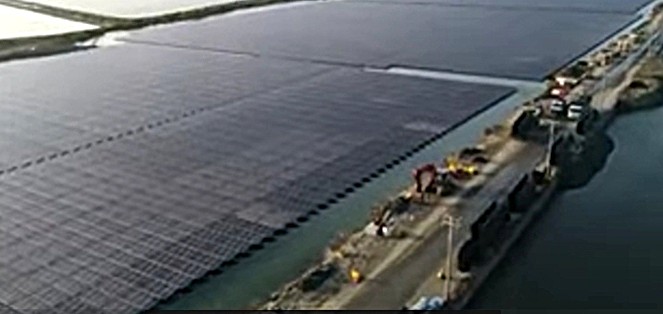 【專欄】「太陽賦能農漁業｣可兼顧糧食和能源需求