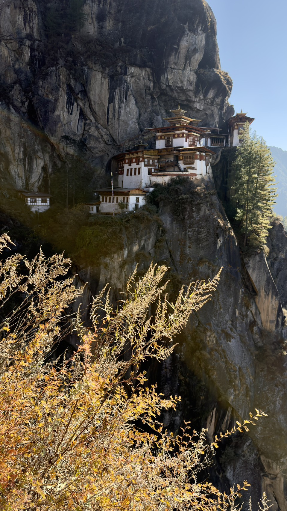 S__9601056_0