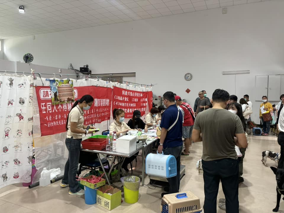 2026高市犬貓絕育雙軌開跑 市民補助即日開始 2026高市犬貓絕育雙軌開跑 市民補助即日開始