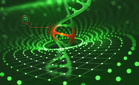碩英生醫學堂 1 –「基因組學（Genomics）」、「藥物基因體學（Pharmacogenomics）」與「預防醫學（Preventive Medicine）」