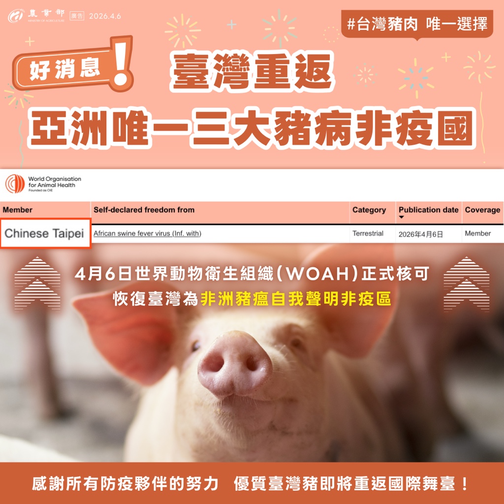 非洲豬瘟防疫成果再獲肯定 臺灣重返亞洲唯一三大豬病非疫國 非洲豬瘟防疫成果再獲肯定 臺灣重返亞洲唯一三大豬病非疫國