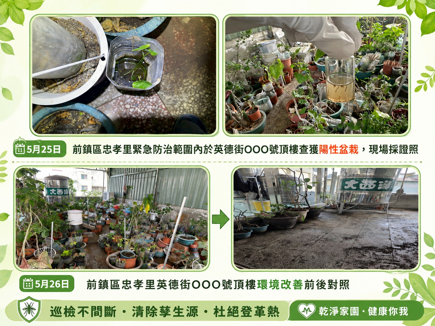 高市登革熱病媒蚊指數攀升拉警報 衛生局查獲民宅頂樓植栽積水孳生病媒蚊重罰