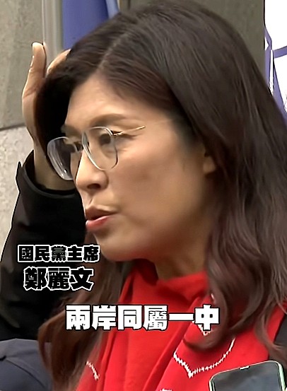 [專欄] 不完美的國家