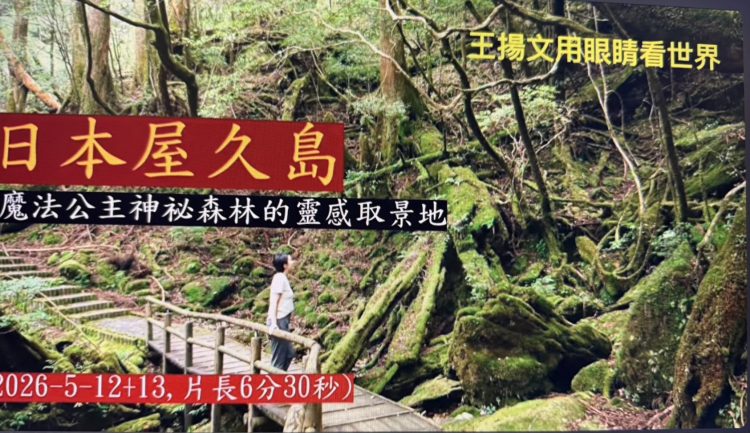 【王揚文用眼睛看世界】日本屋久島–魔法公主神祕森林的靈感取景地