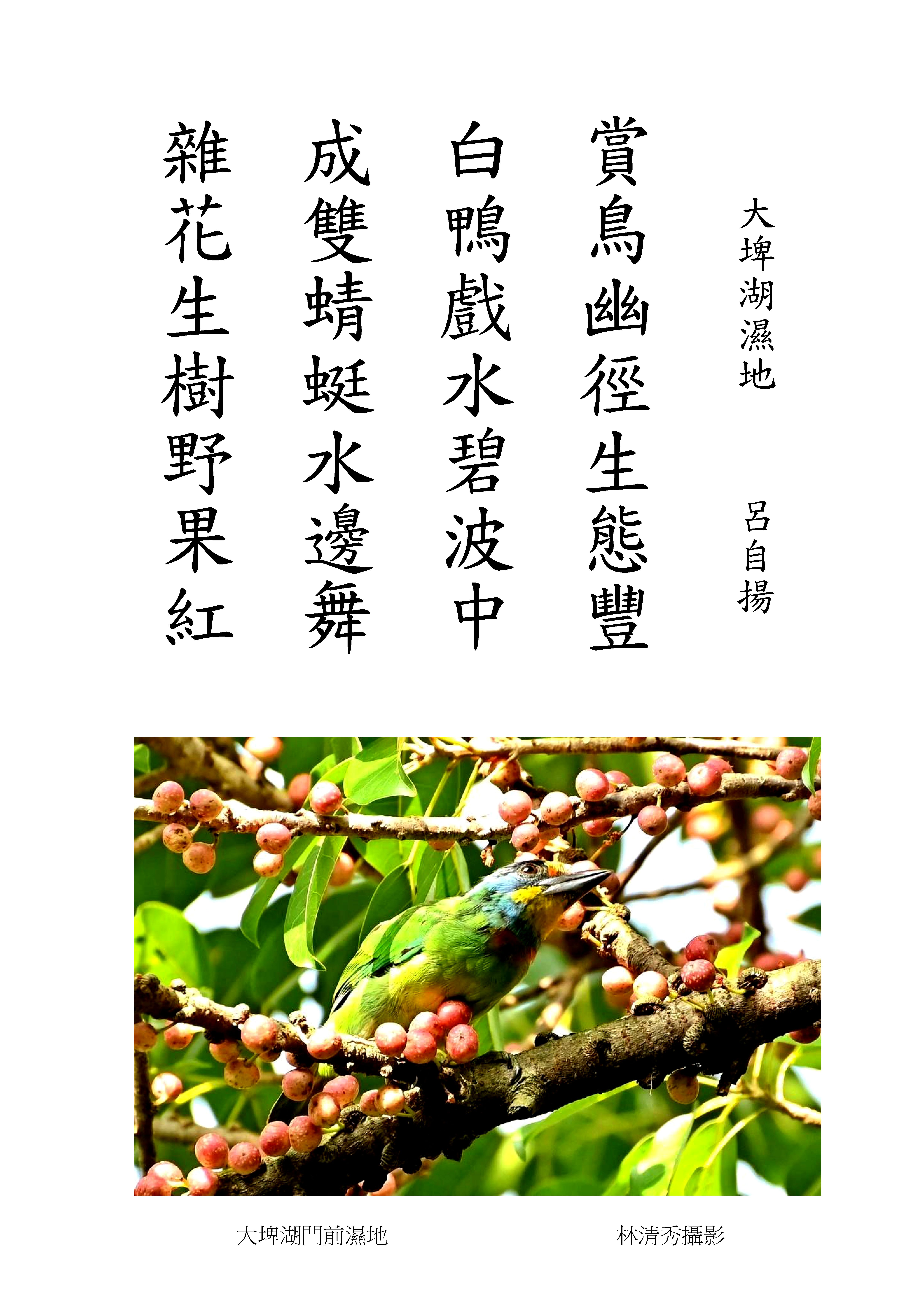 《詩寫臺灣》喜把蜻蜓寫入詩。