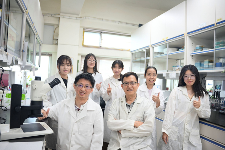 極端氣候下植物如何耐高溫？中大研究團隊揭關鍵調控機制